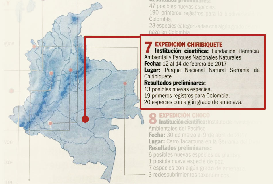 Las especies de la paz