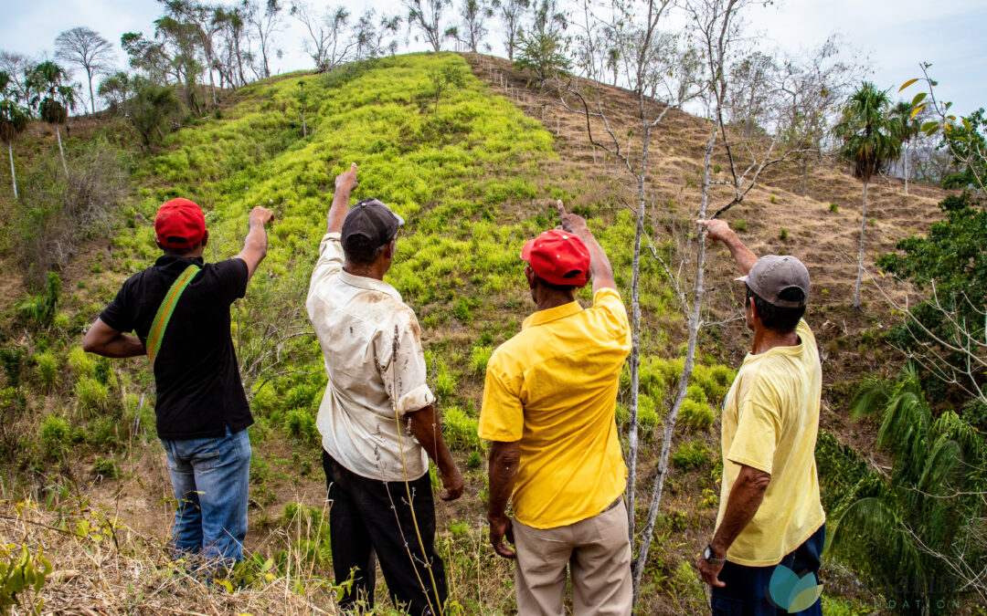 Así protegen 5.000 hectáreas de bosque seco tropical en los Montes de María