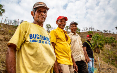 Proyecto ambiental logra proteger 5.000 hectáreas de bosque seco tropical en los Montes de María