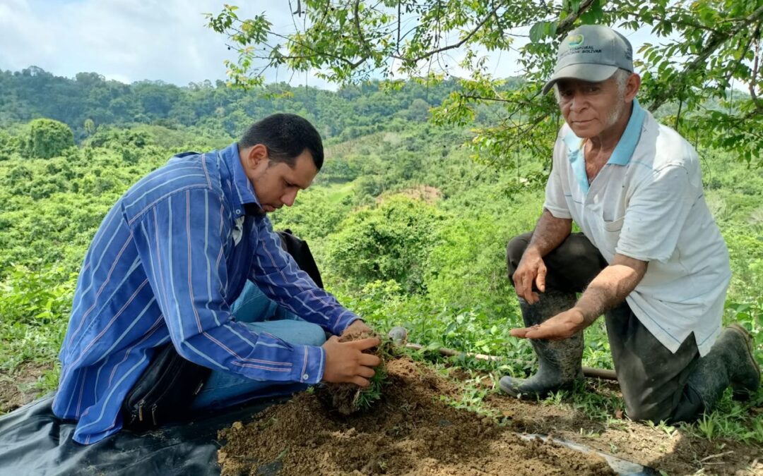 Carta de invitación a convocatoria abierta