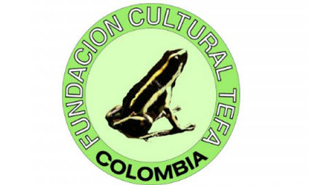 Fundación TEFA
