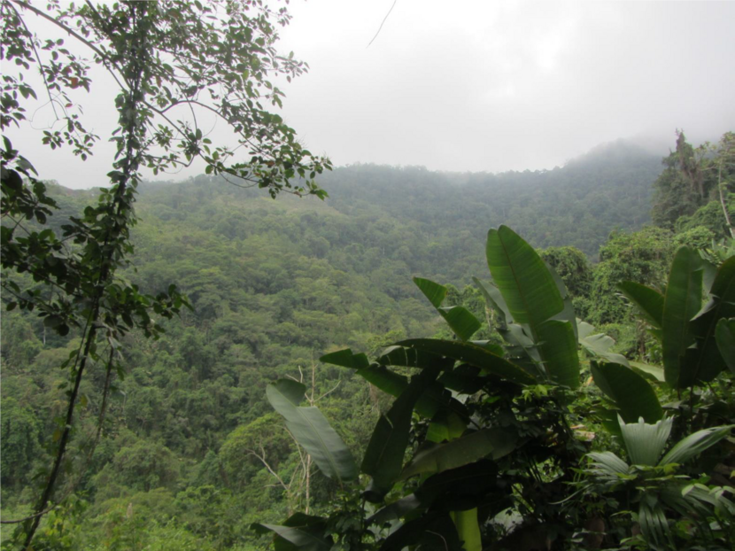 Aquifer Storage and Recovery for sustainable banana production in the Magdalena region, Colombia