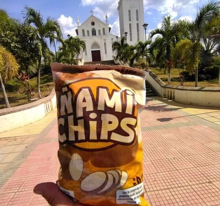 Ñami Chips, la nueva manera de comer ñame y conservar el Bosque Seco Tropical  