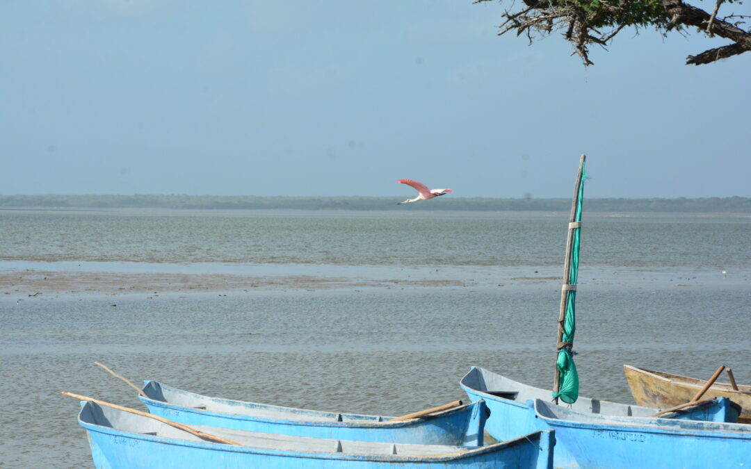 30 familias del corregimiento Tomarrazon comprometidas con la conservación de la cuenca Camarones  
