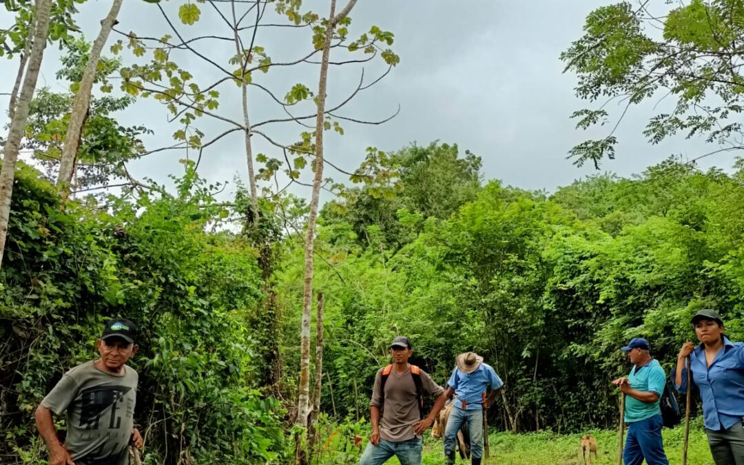 Carta de invitación a convocatoria abierta