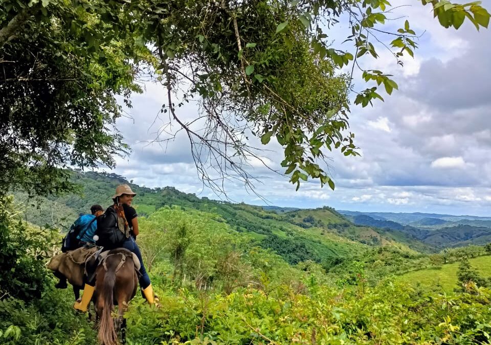 Convocatoria abierta para proveedor de insumos agrícolas