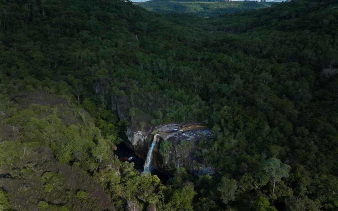 Rarely seen cliff art reveals the majesty of the Amazon’s aquatic realm