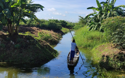 Una iniciativa para recuperar la cultura anfibia de la ciénaga del bajo Sinú en Colombia